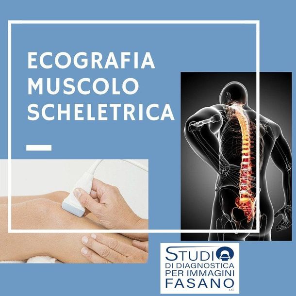Ecografia muscolo scheletrica