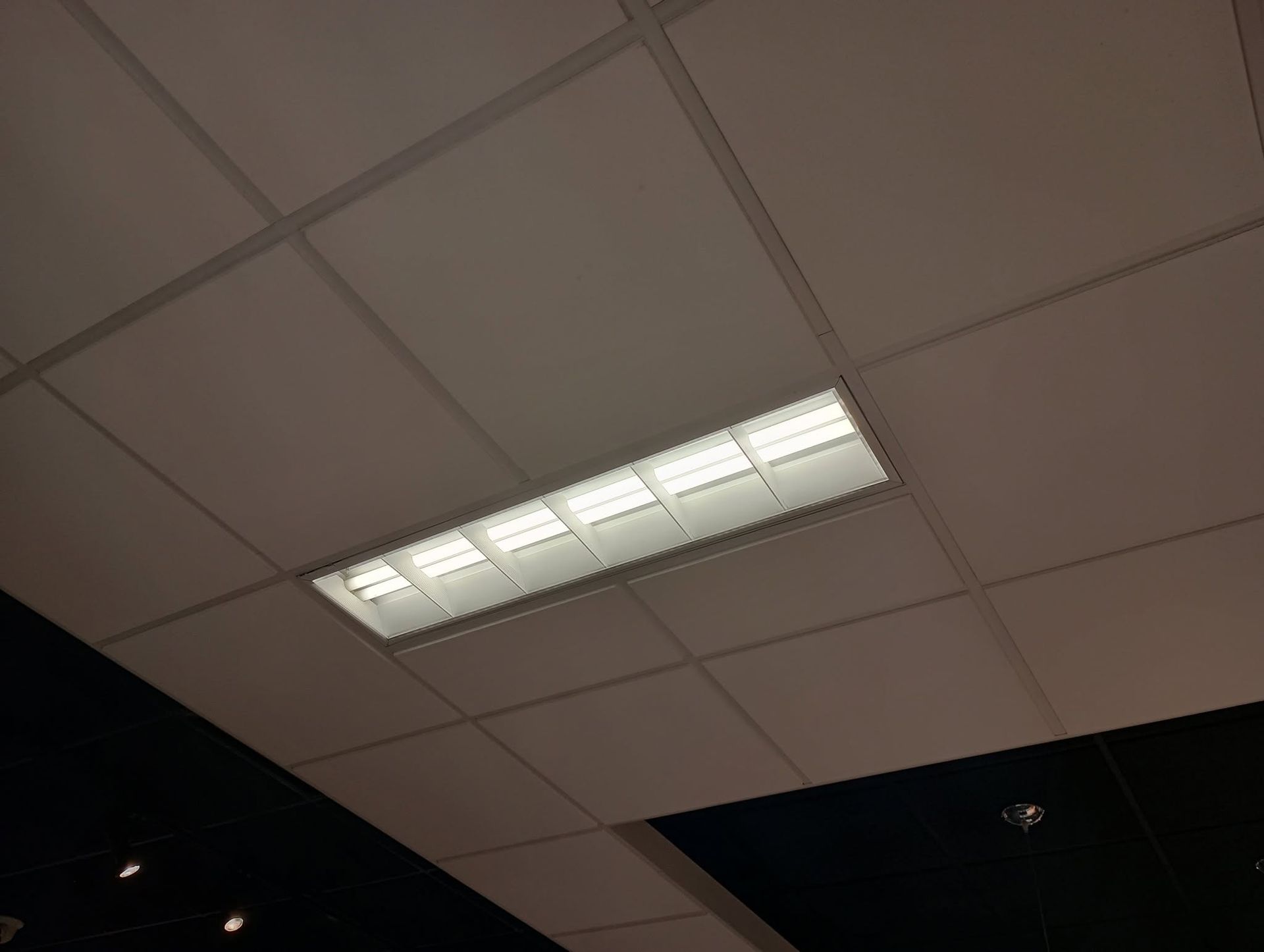 Office ceiling with white acoustic tiles and a lit fluorescent panel light