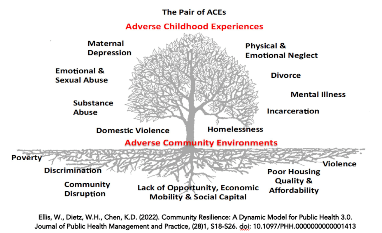 A diagram of a tree with the words adverse childhood experiences on it