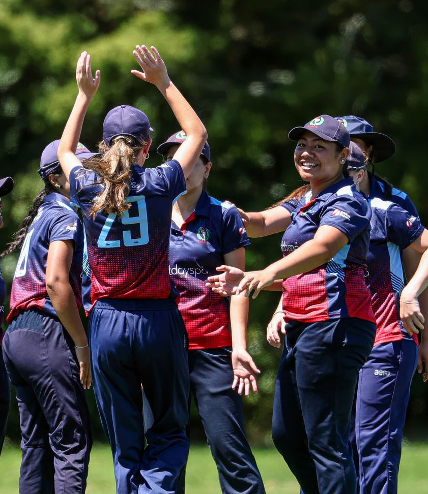 Group of softball players in navy and red uniforms celebrating on a sunny field, with hands raised and smiles.