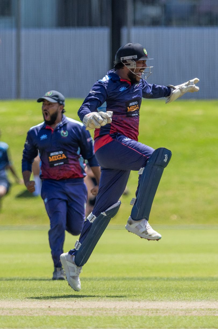 Cricket player in blue and purple kit jumps while batting on a grassy field, with teammate behind.