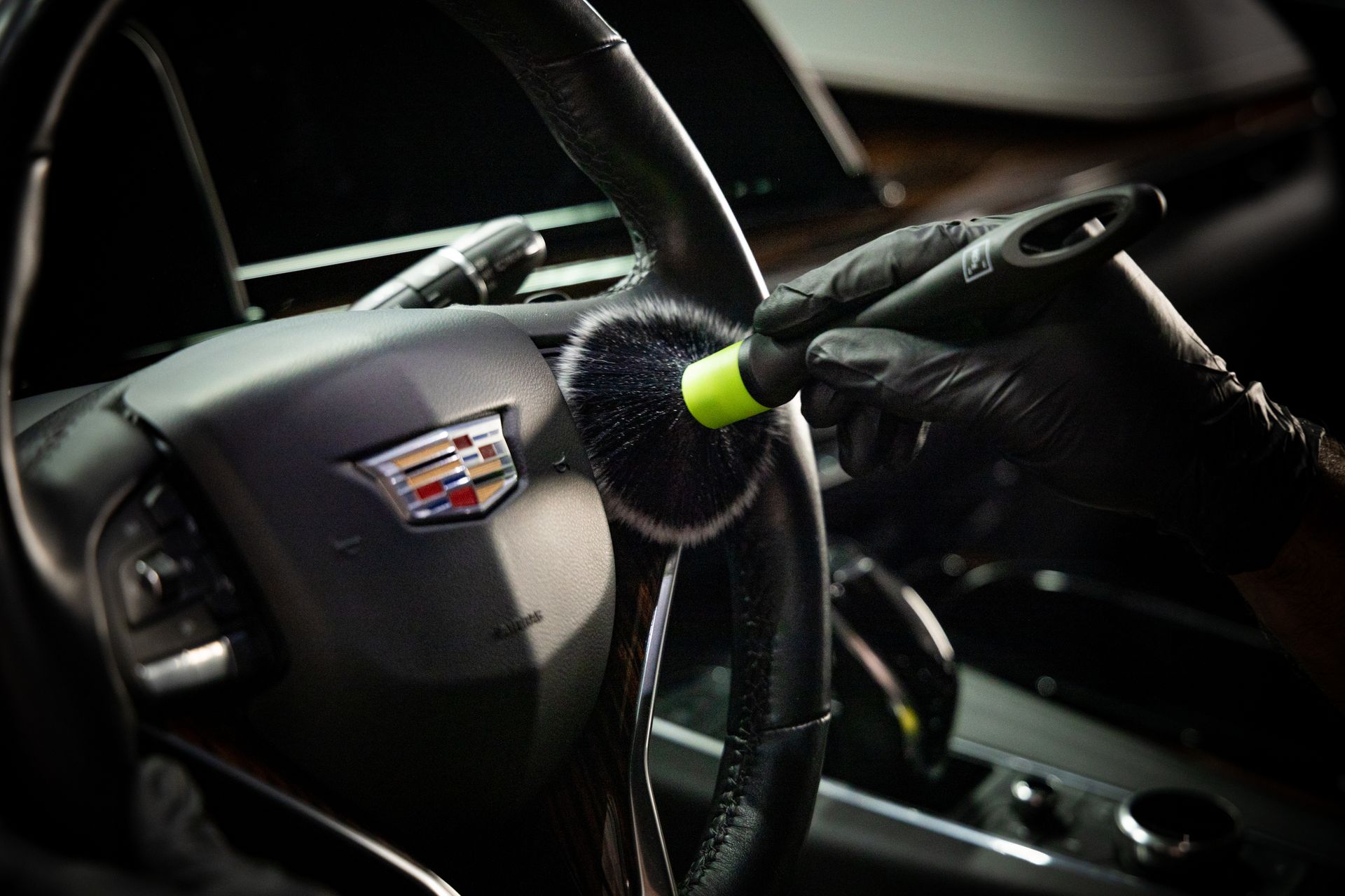paint protection film