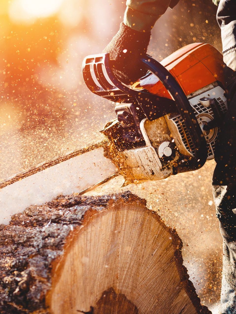a person is cutting a tree with a chainsaw