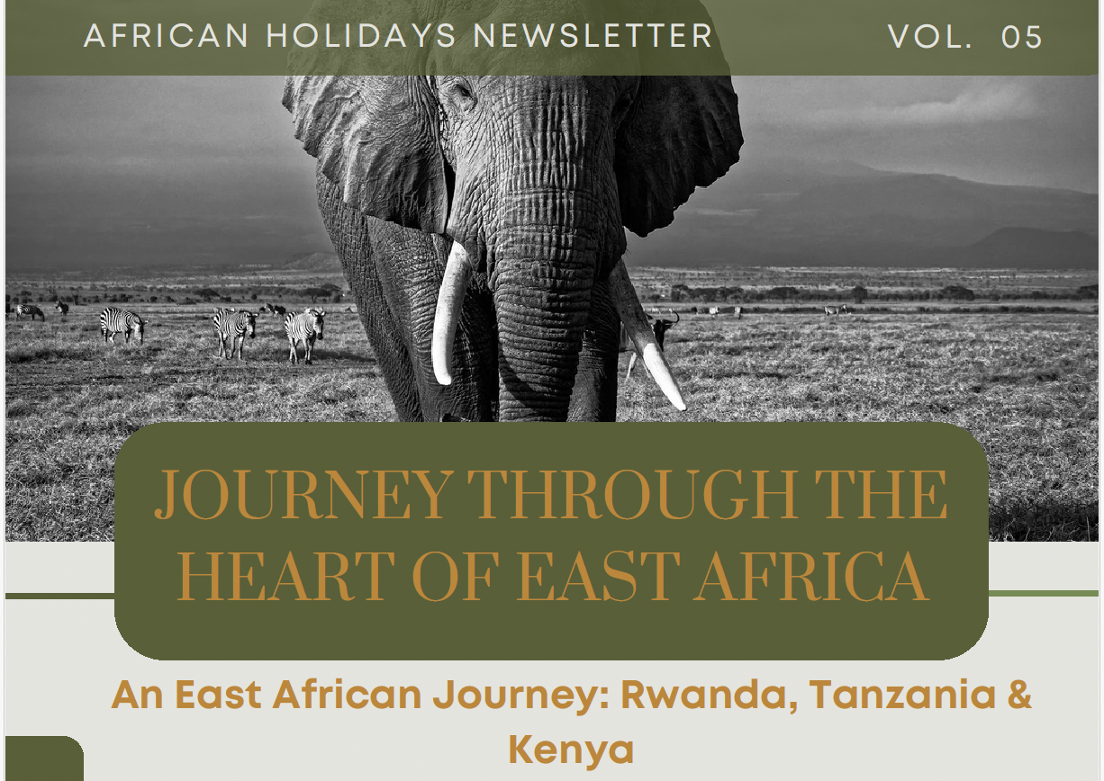 An African Holidays newsletter cover featuring an elephant in a savanna, titled Journey Through the Heart of East Africa.