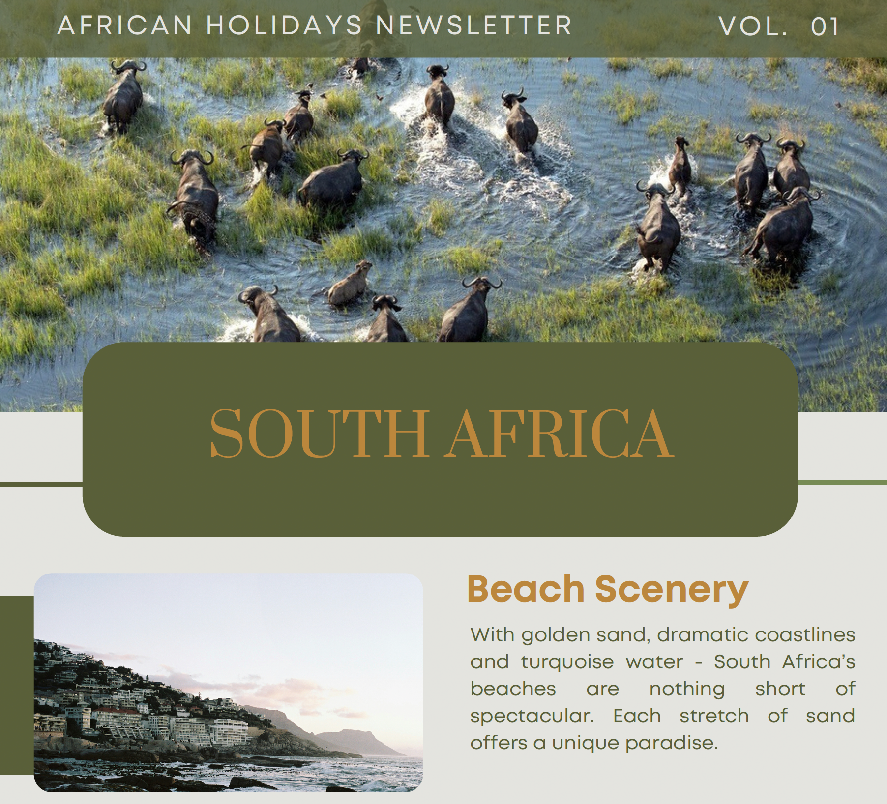 Newsletter featuring a herd of African buffalo in water above a text box labeled 