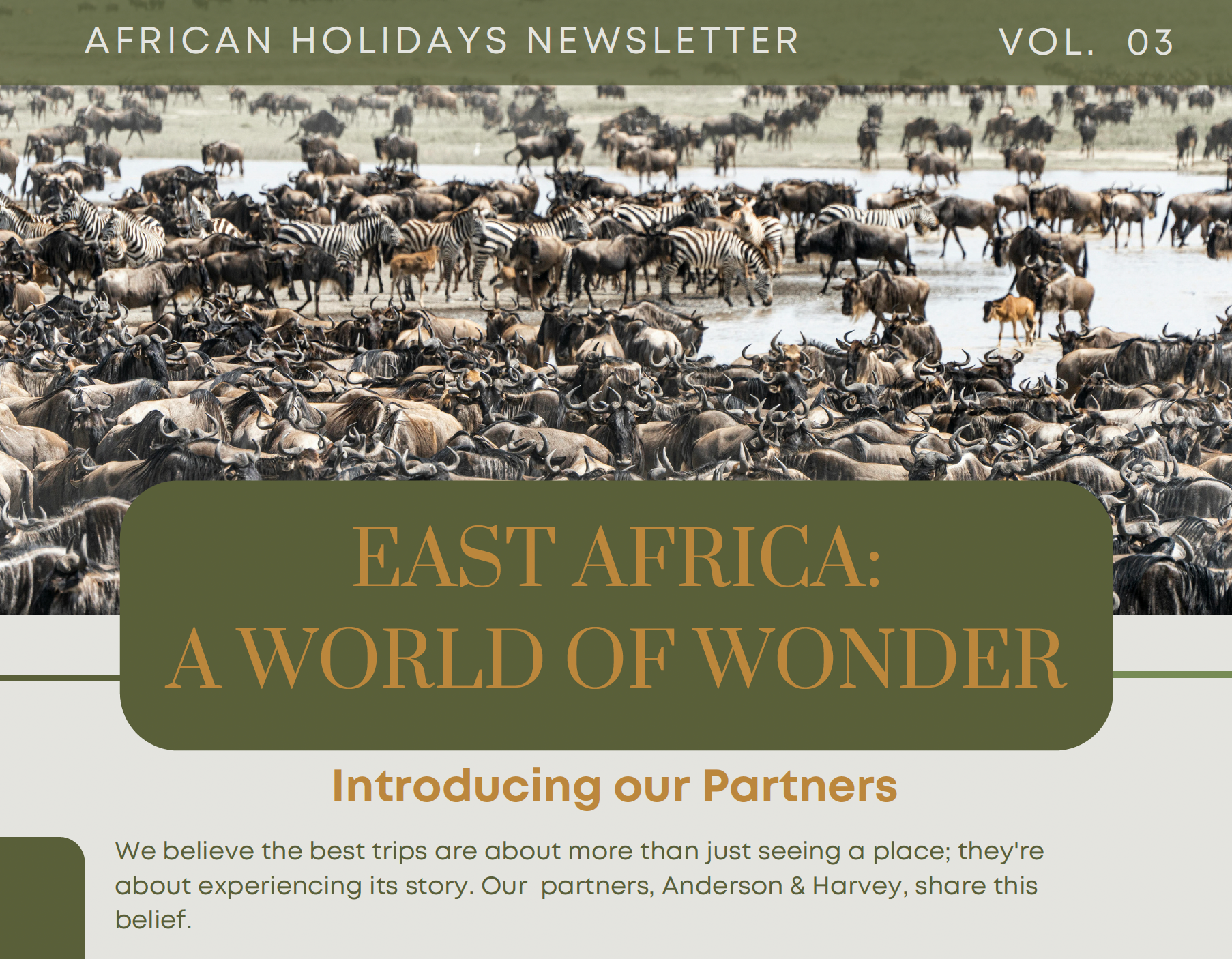 Newsletter header featuring a large herd of wildebeest with the title 