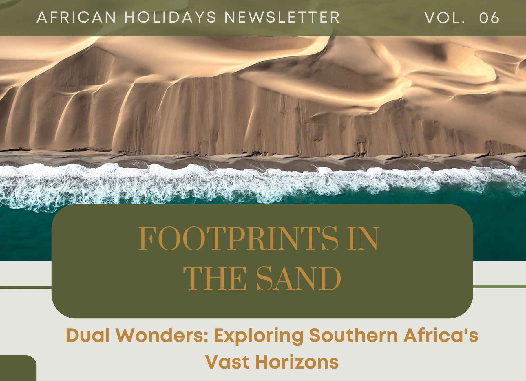 Newsletter header featuring a coastal desert meeting the ocean, with the title 
