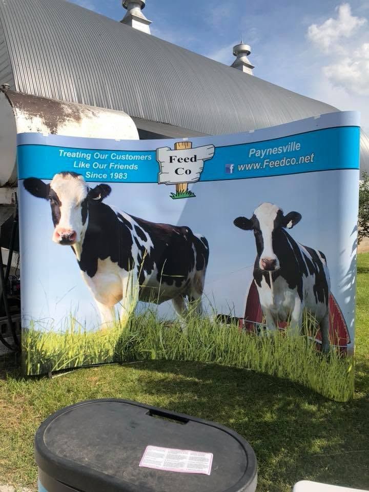 Giant dairy cow mural on a metal tank with blue sky and grass, showing two black-and-white cows.