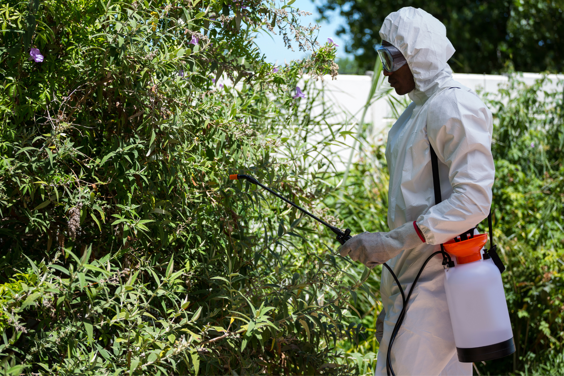 pest control