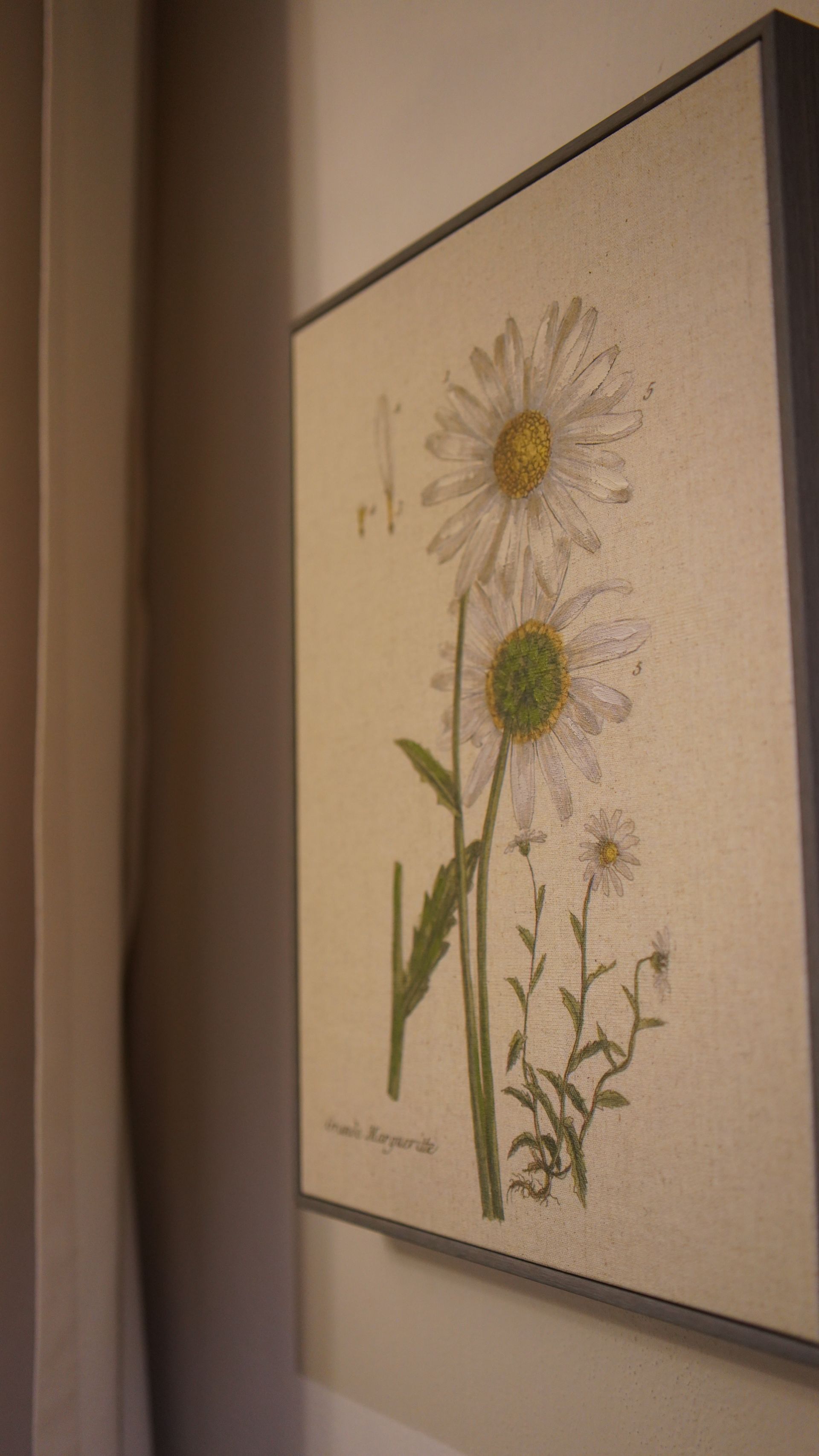 A painting of daisies is hanging on a wall.