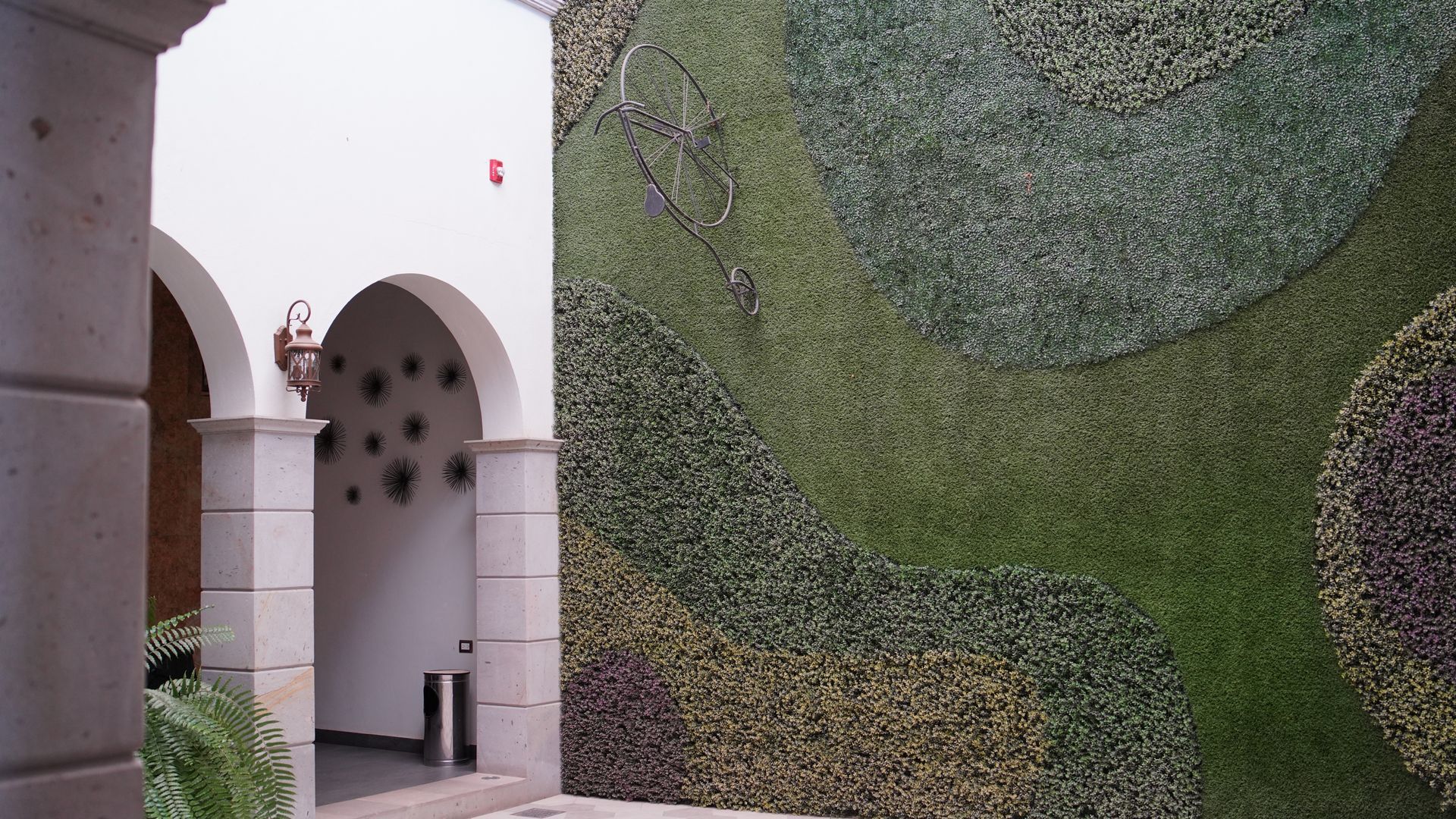 A wall with a lot of green plants on it