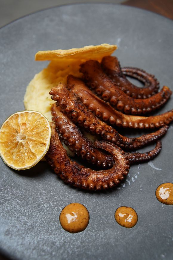 Un primer plano de un plato de comida con un pulpo encima.
