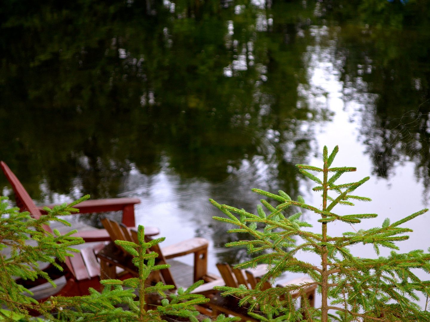 Red wooden chairs among green plants by a calm pond with reflections