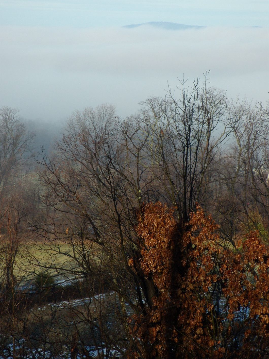 Bare trees and orange autumn foliage above a foggy landscape