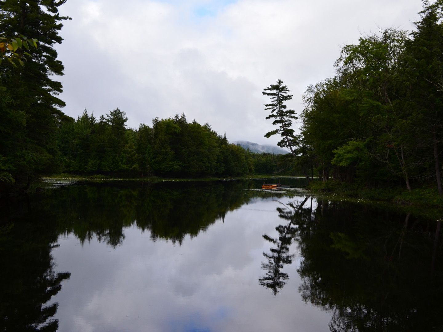Calm lake reflecting cloudy sky and surrounding green trees in a forested landscape