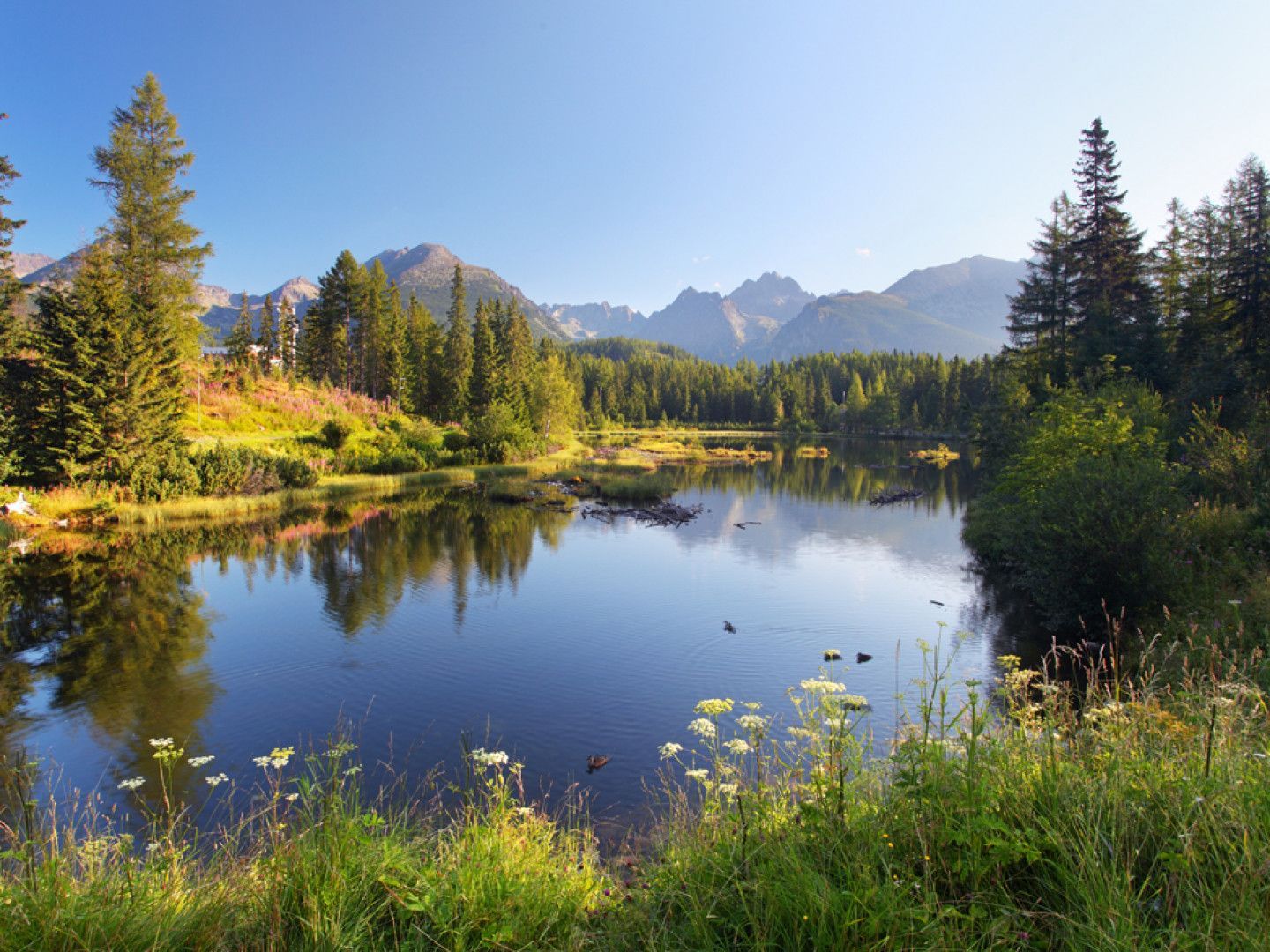 Mountain lake reflecting pine trees and distant peaks under a clear blue sky