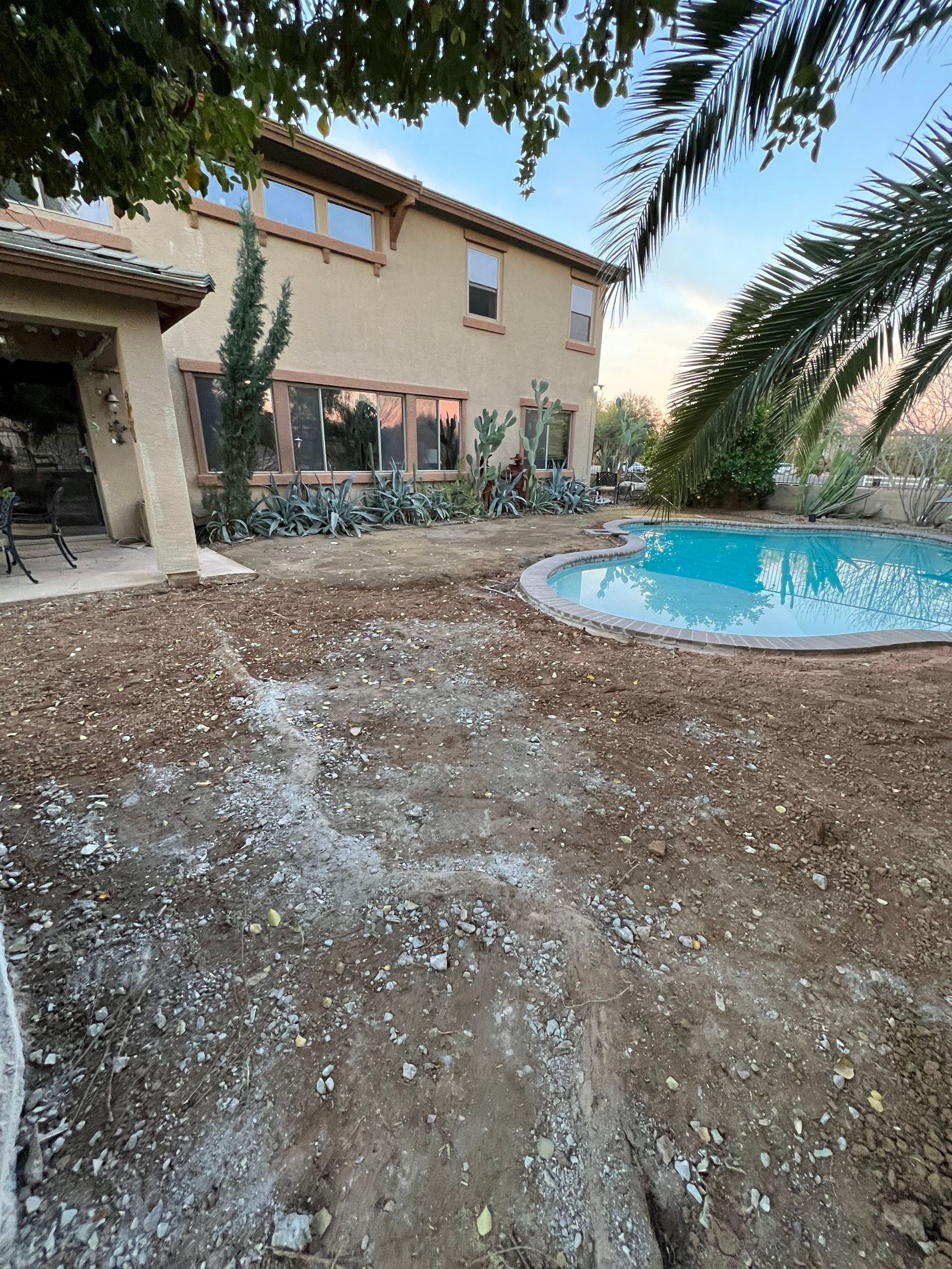 Modern Desert Landscapes - East Valley Landscapers in Arizona
