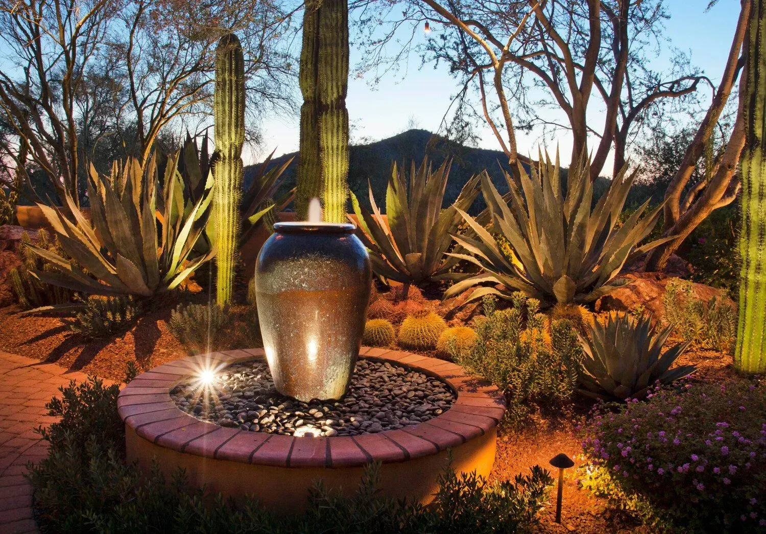About Modern Desert Landscapes - East Valley Landscapers in Arizona