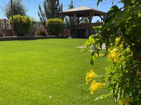Lawn Installation Modern Desert Landscapes - East Valley Landscapers in Arizona