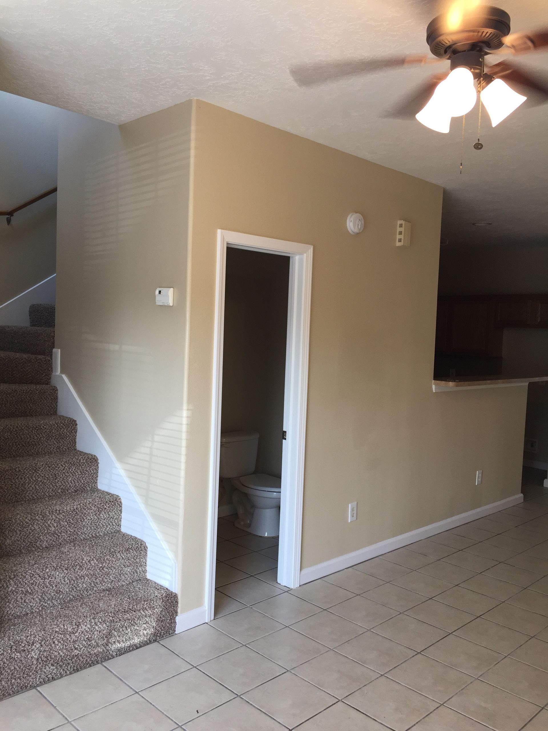 30. Merle St 9509