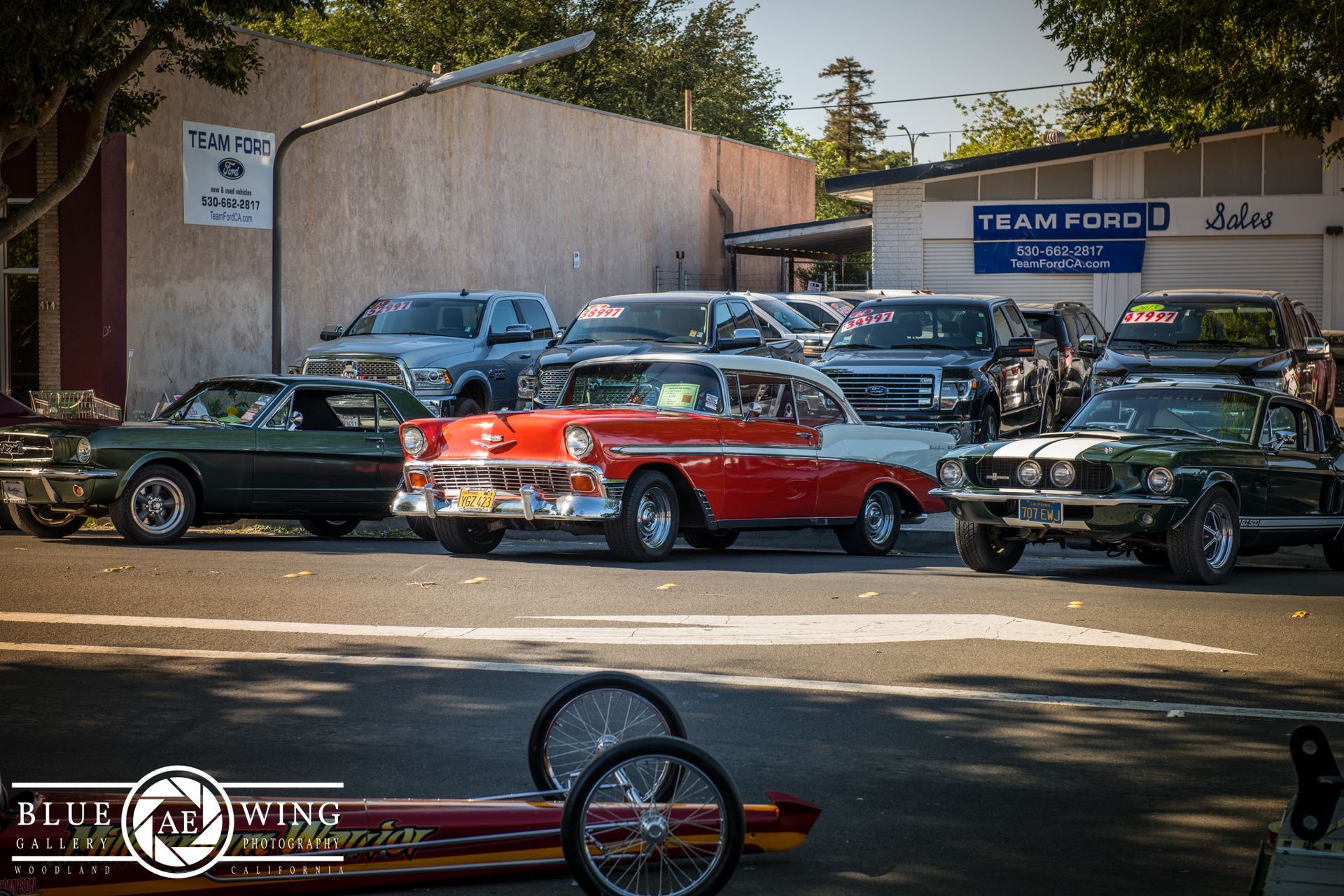 Woodland Street Cruisers Photo Gallery
© Visit Woodland