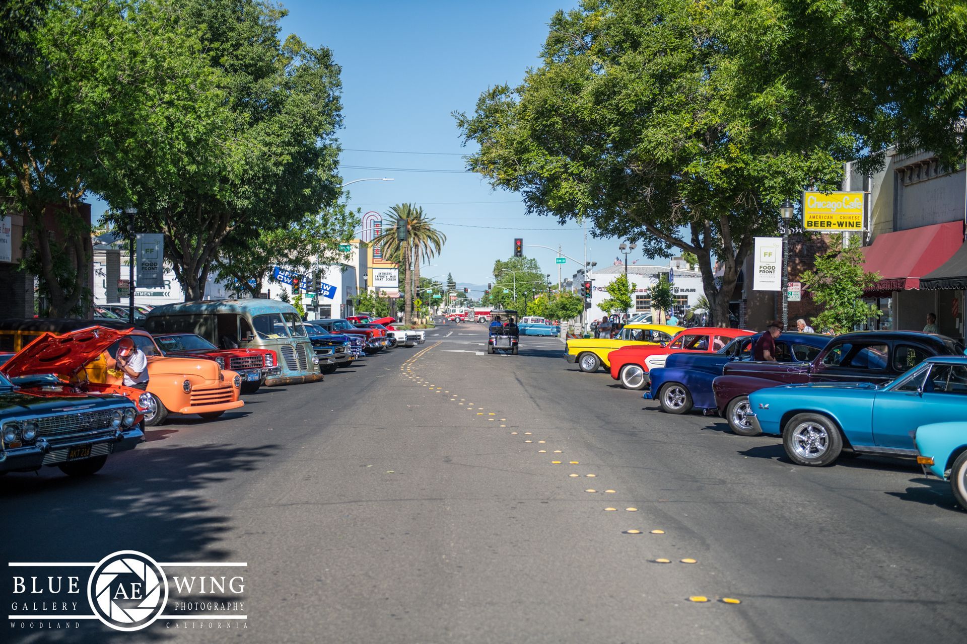 Woodland Street Cruisers Photo Gallery
© Visit Woodland