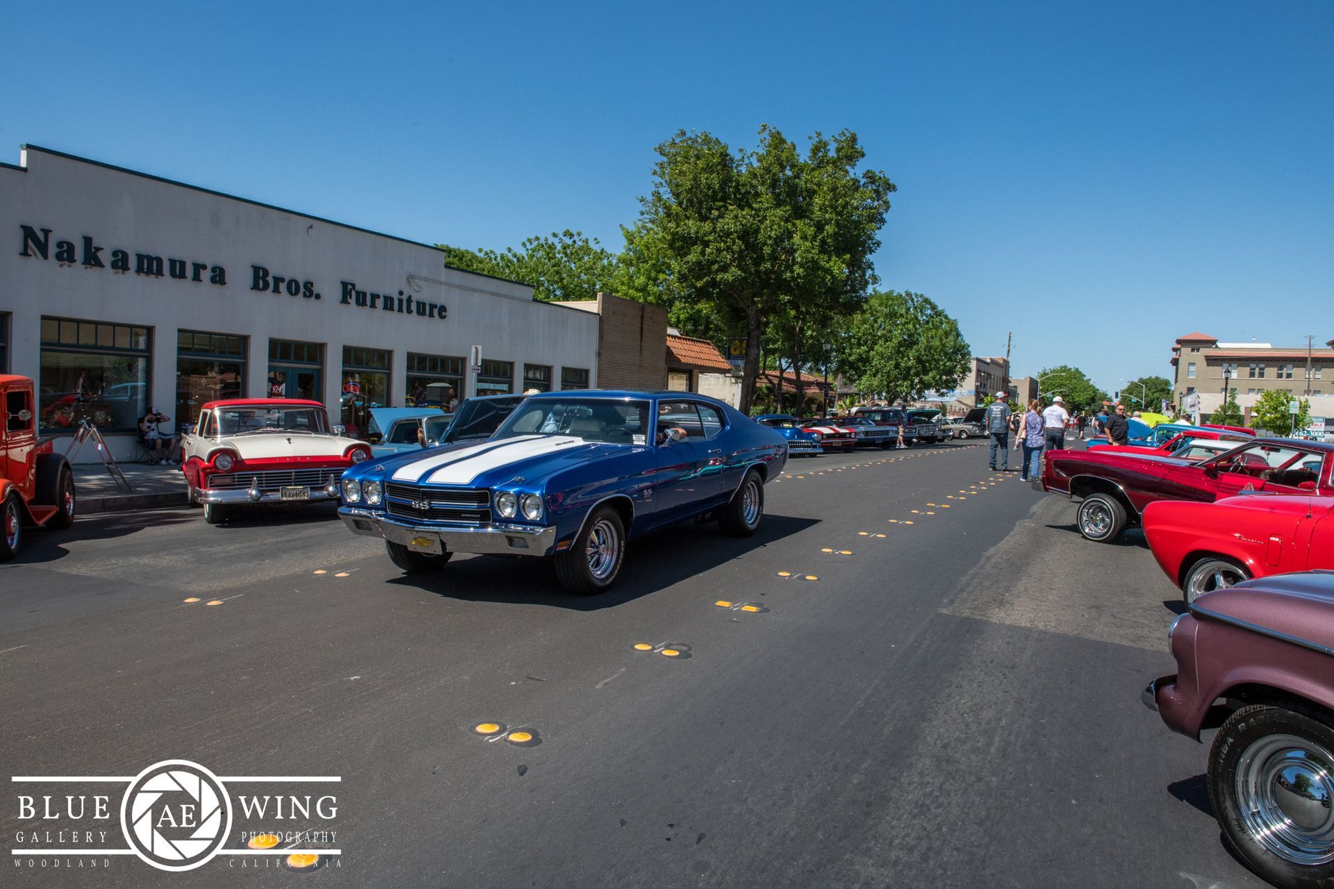 Woodland Street Cruisers Photo Gallery
© Visit Woodland