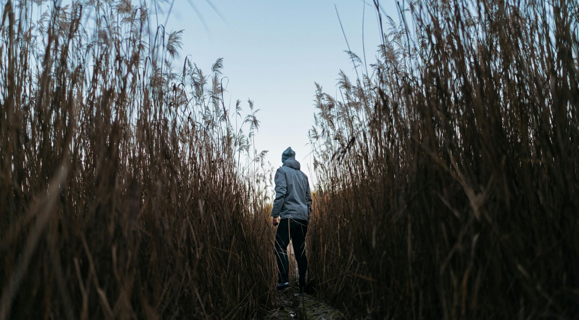 Individual Hypnotherapy Session –  One Session at a Time