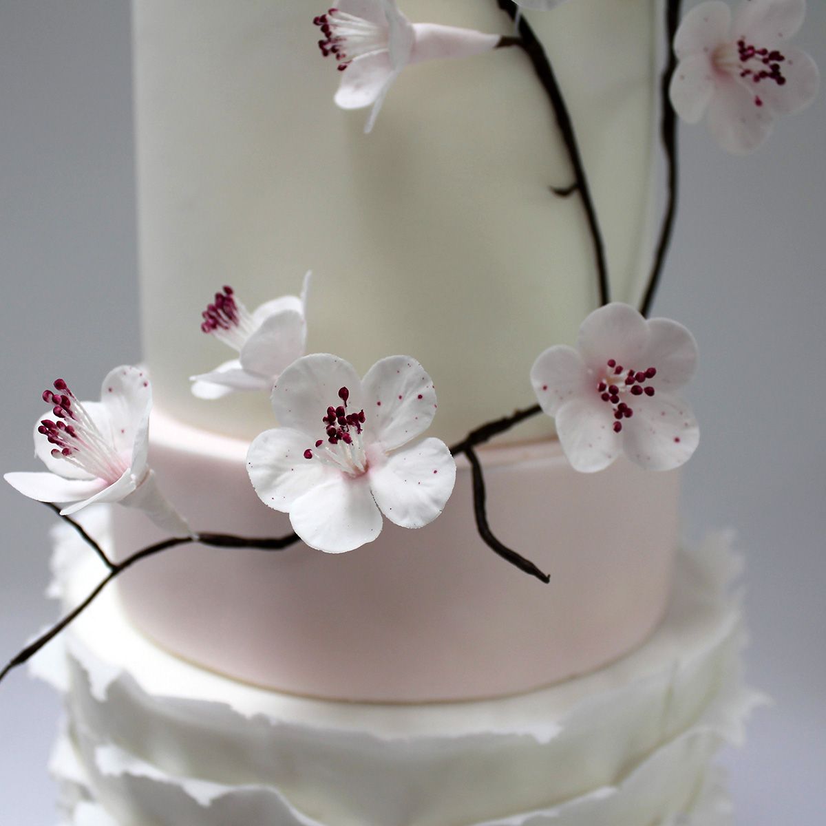Celebration cake Bramhall 
