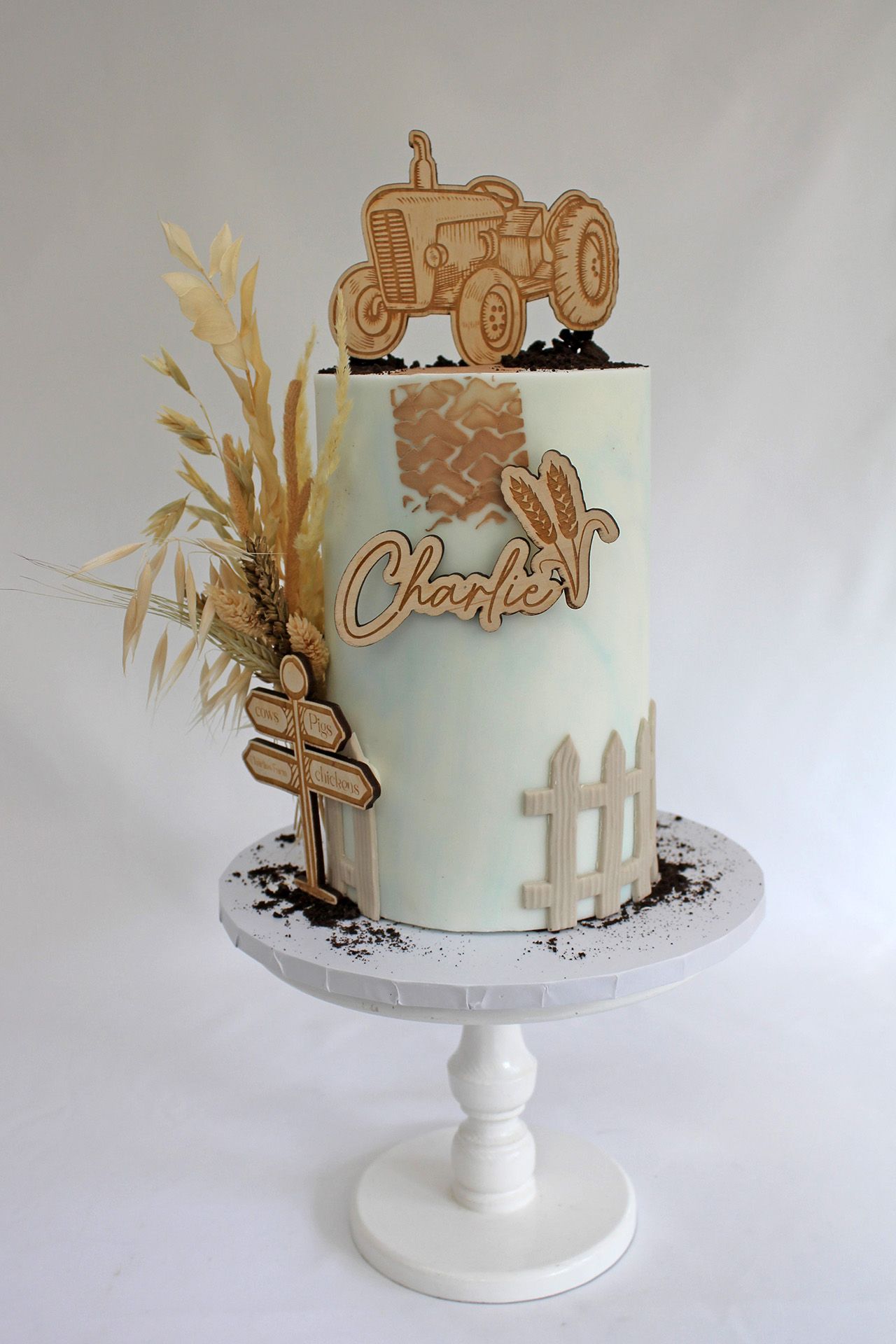 Childrens Birthday cakes Cheshire 