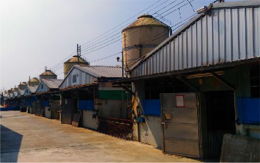 一排建築物,頂部有筒倉。
