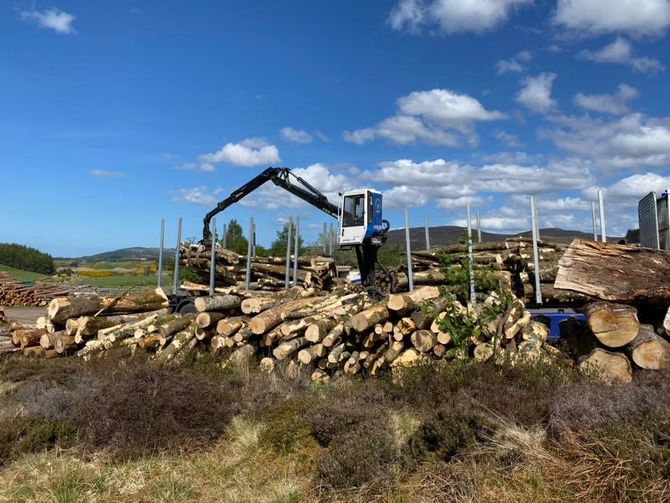 Biomass Production