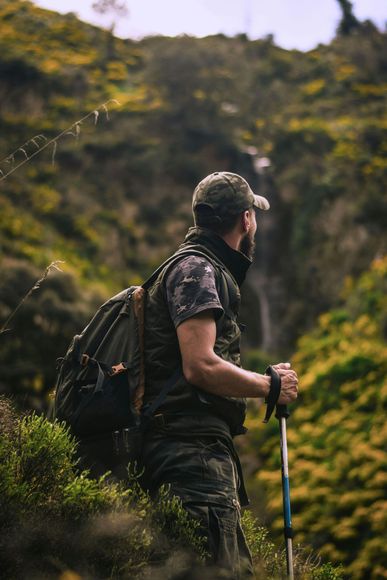 Hiker with backpack and walking stick, looking at waterfall in green mountain landscape.