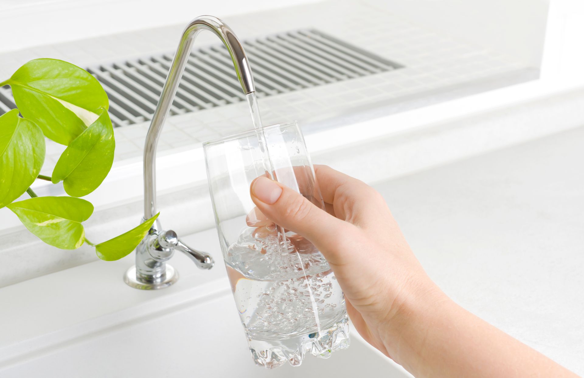 Hand filling a glass with water from a kitchen faucet beside a green plant
