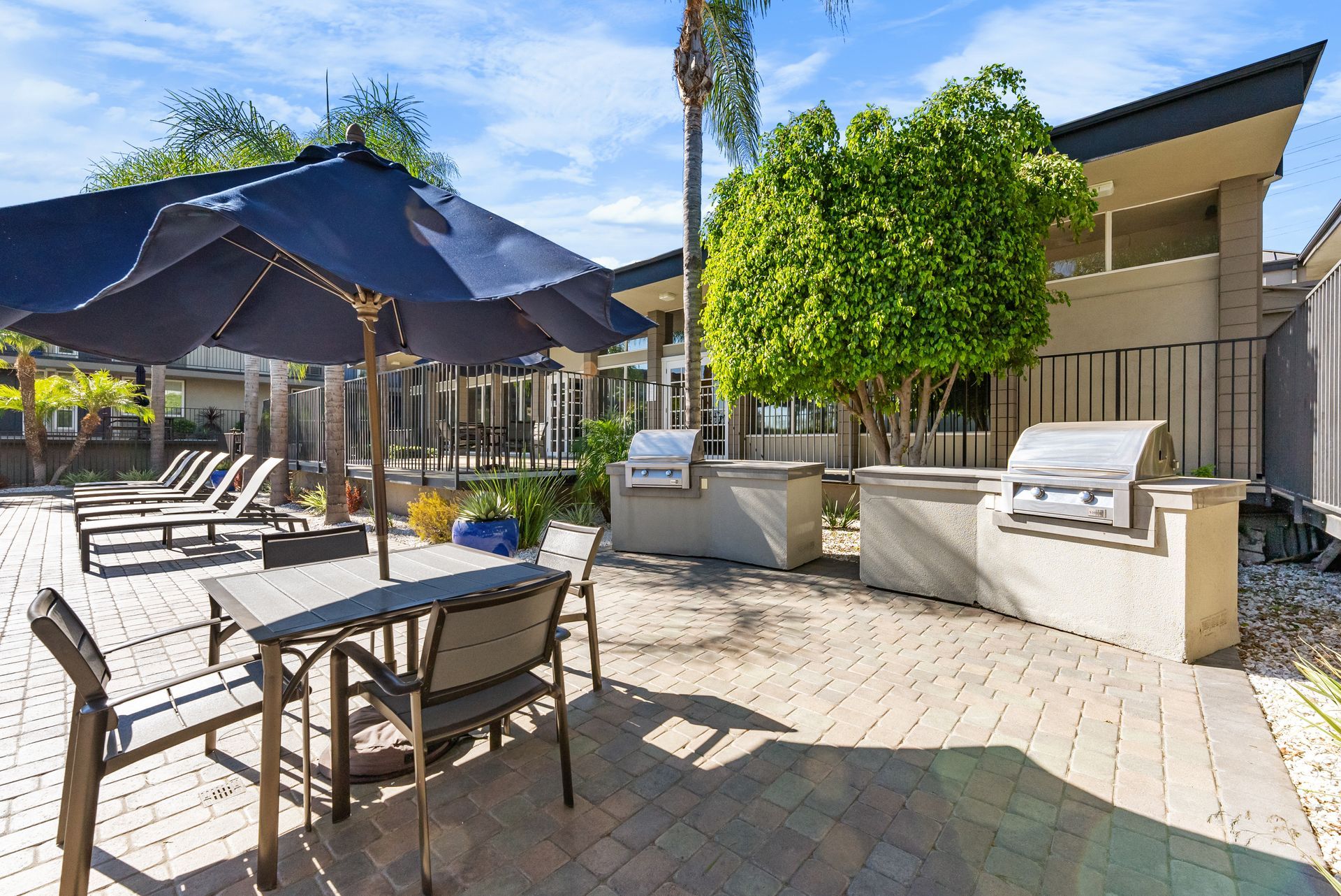 BBQ grills and picnic table