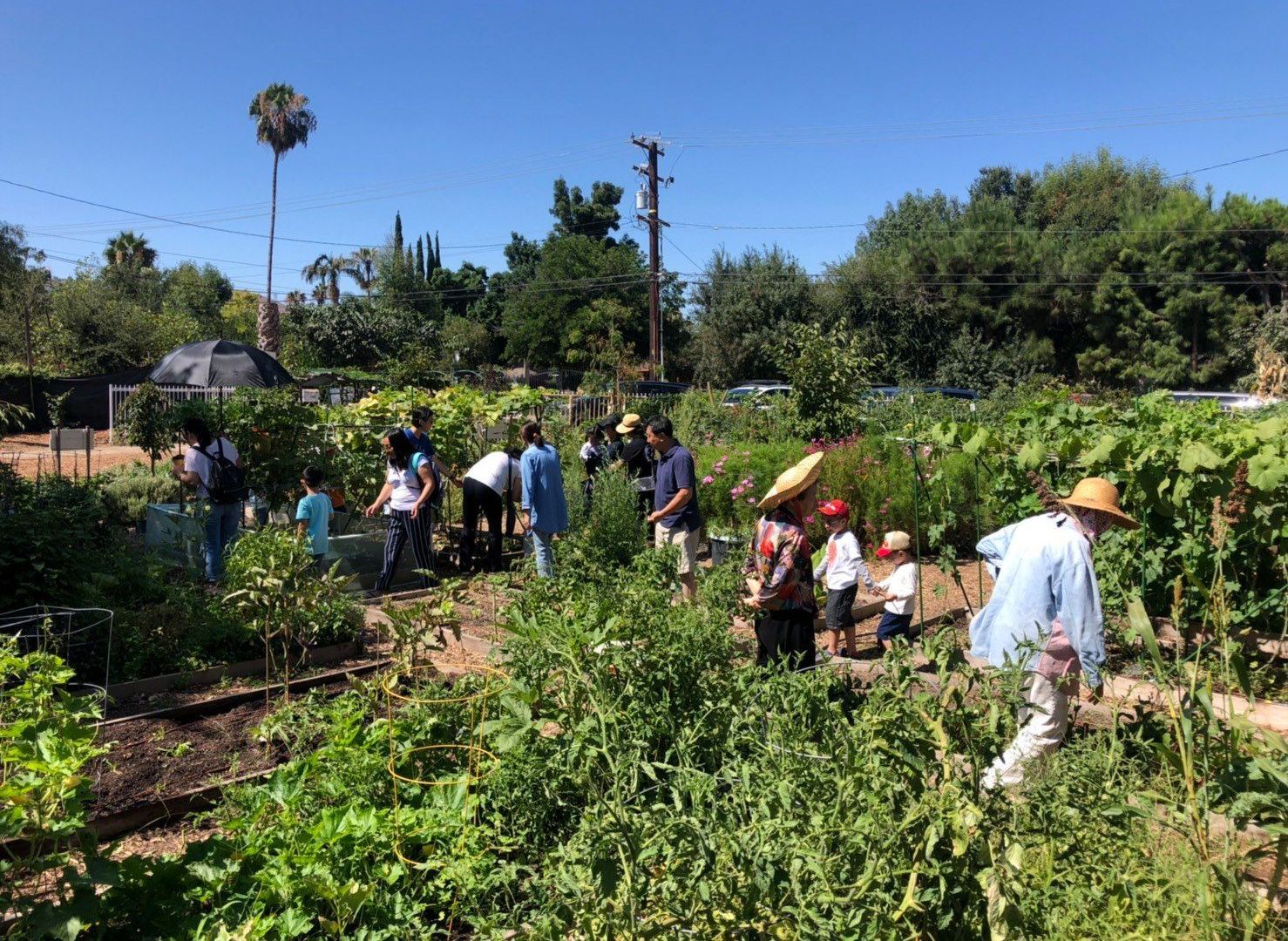kids and adults at a farm in La Habra