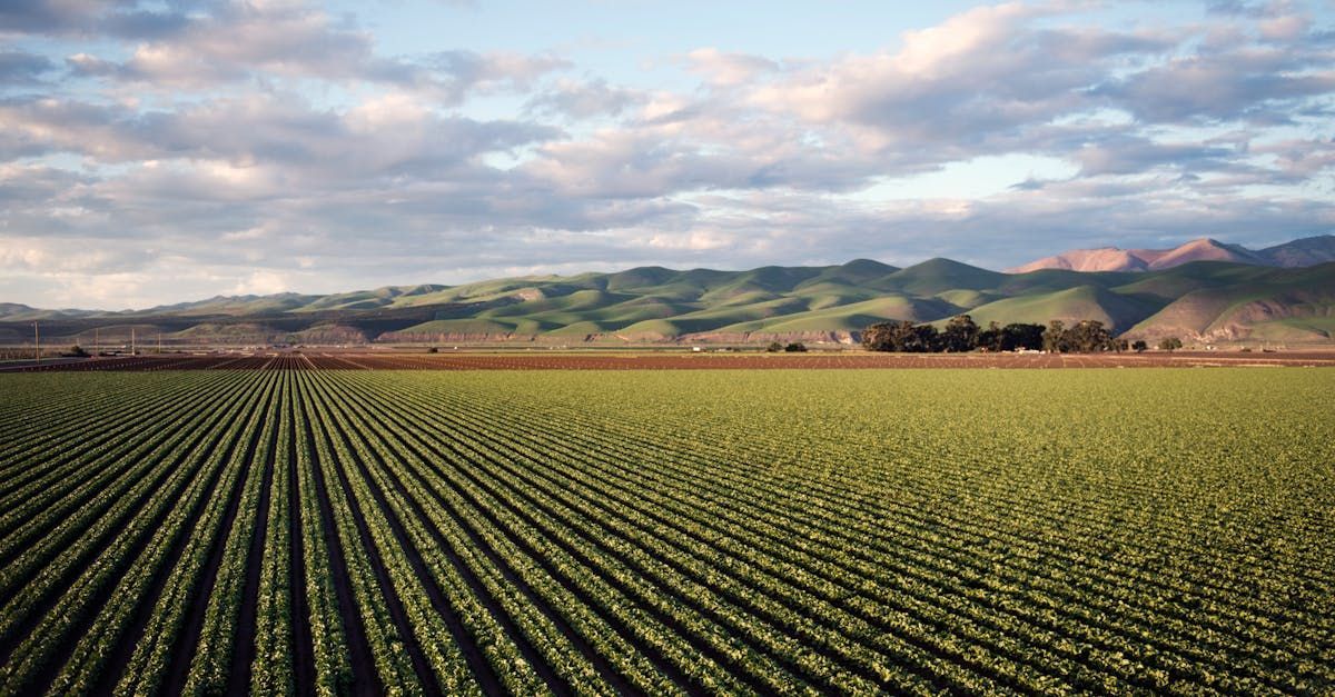 farm is protected by farm and ranch insurance