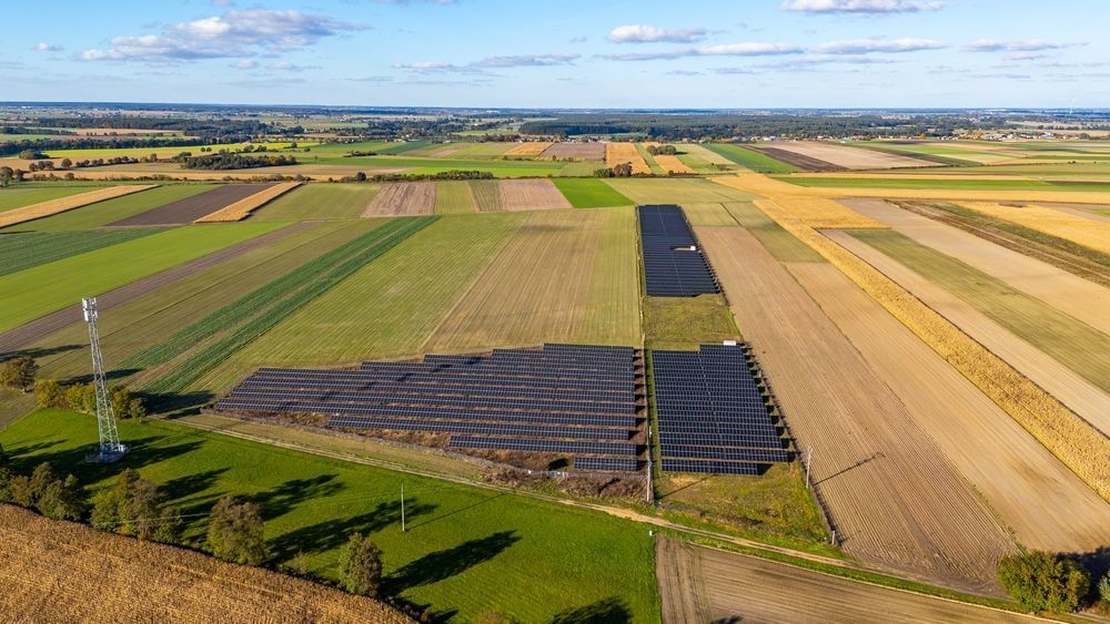 Aerial view of patchwork farm fields under a blue sky, with long shadows across green and golden crops