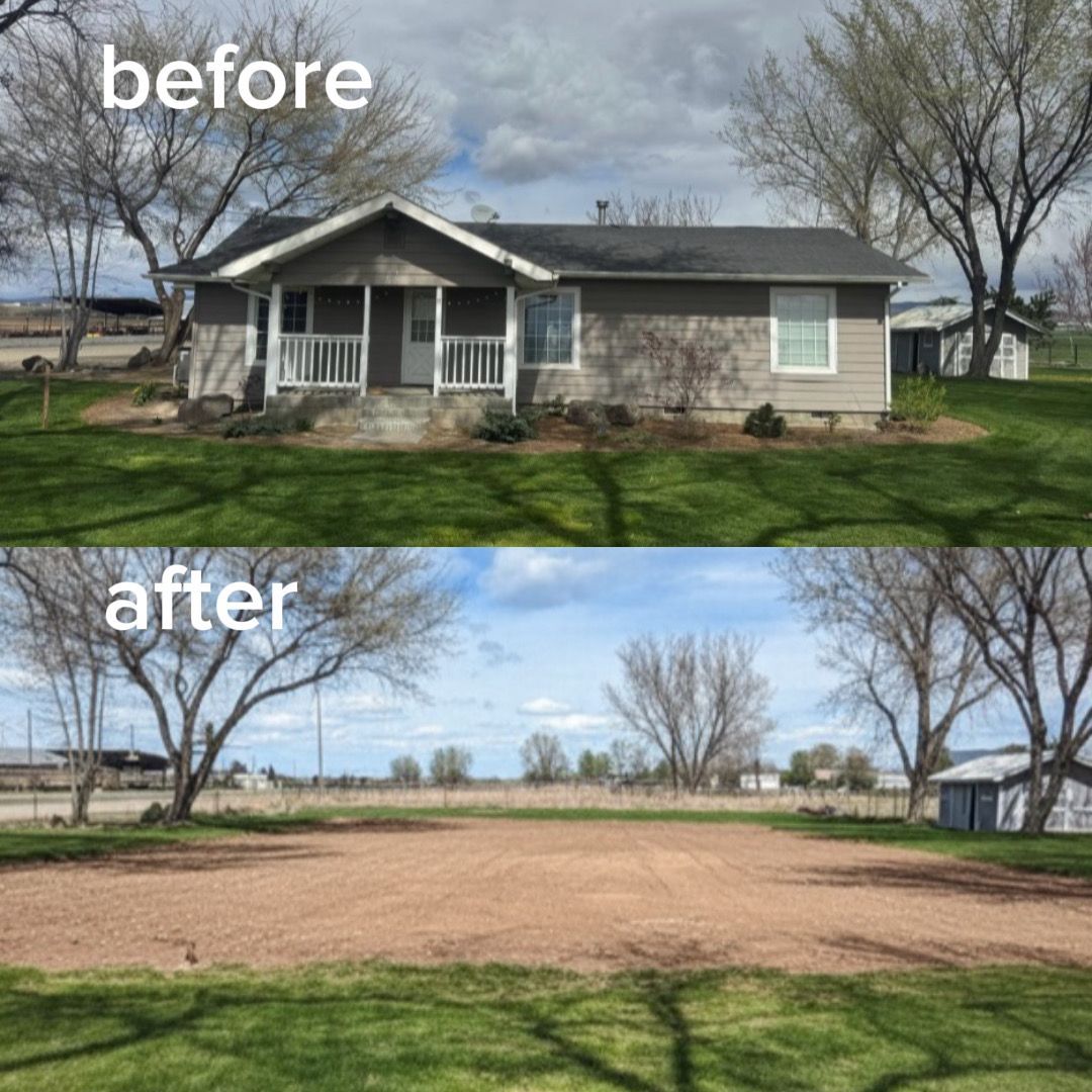 Before-and-after of a house lot: front yard with house, then cleared open dirt lot with trees.