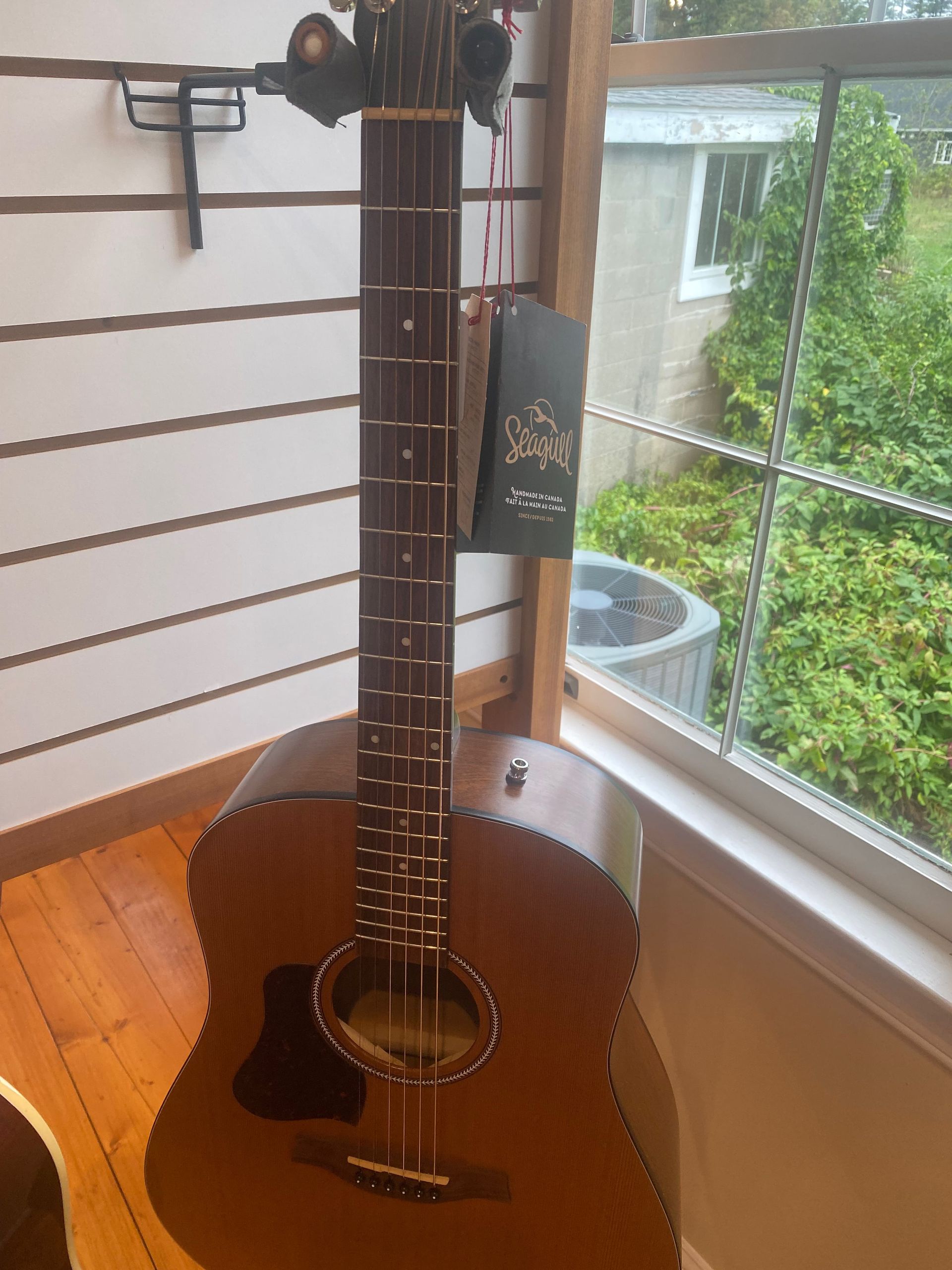acoustic guitar