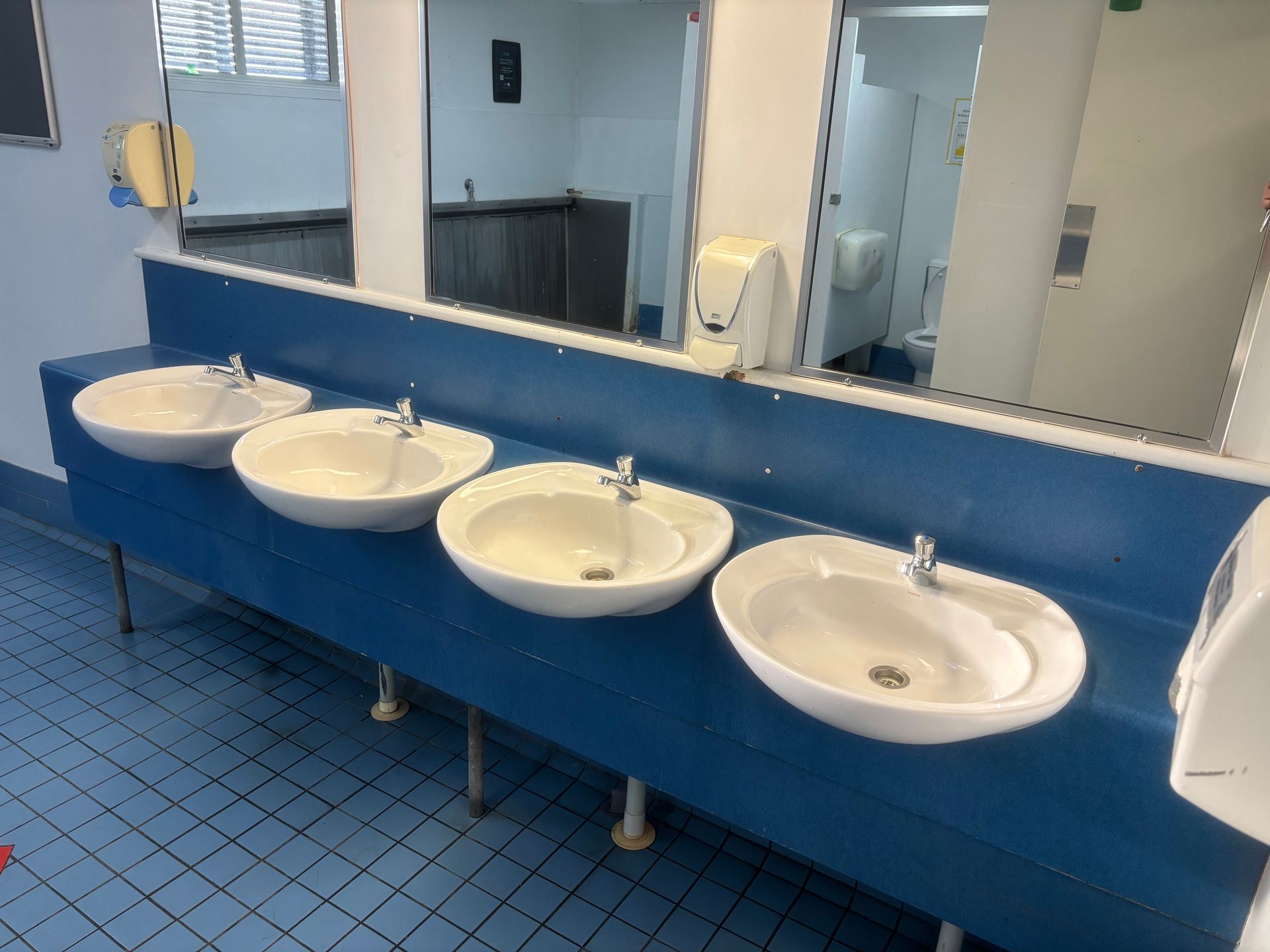 Blue public restroom with four white sinks — Truflow Plumbing & Gas Solutions in Rockhampton City, QLD