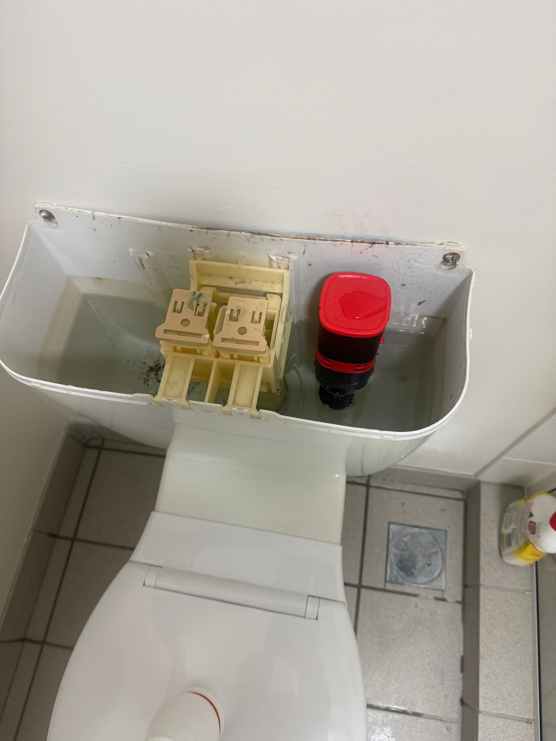 Public restroom toilet tank with banknotes and a red-lidded black container inside the open cistern.— Truflow Plumbing & Gas Solutions in Rockhampton City, QLD