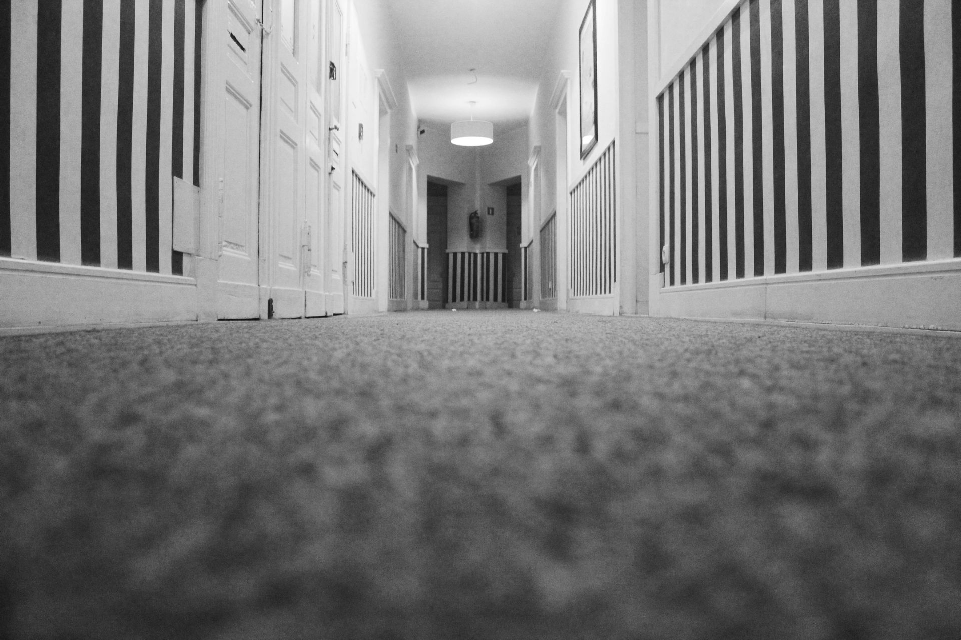 Commercial carpet and floor cleaning service in Water Valley