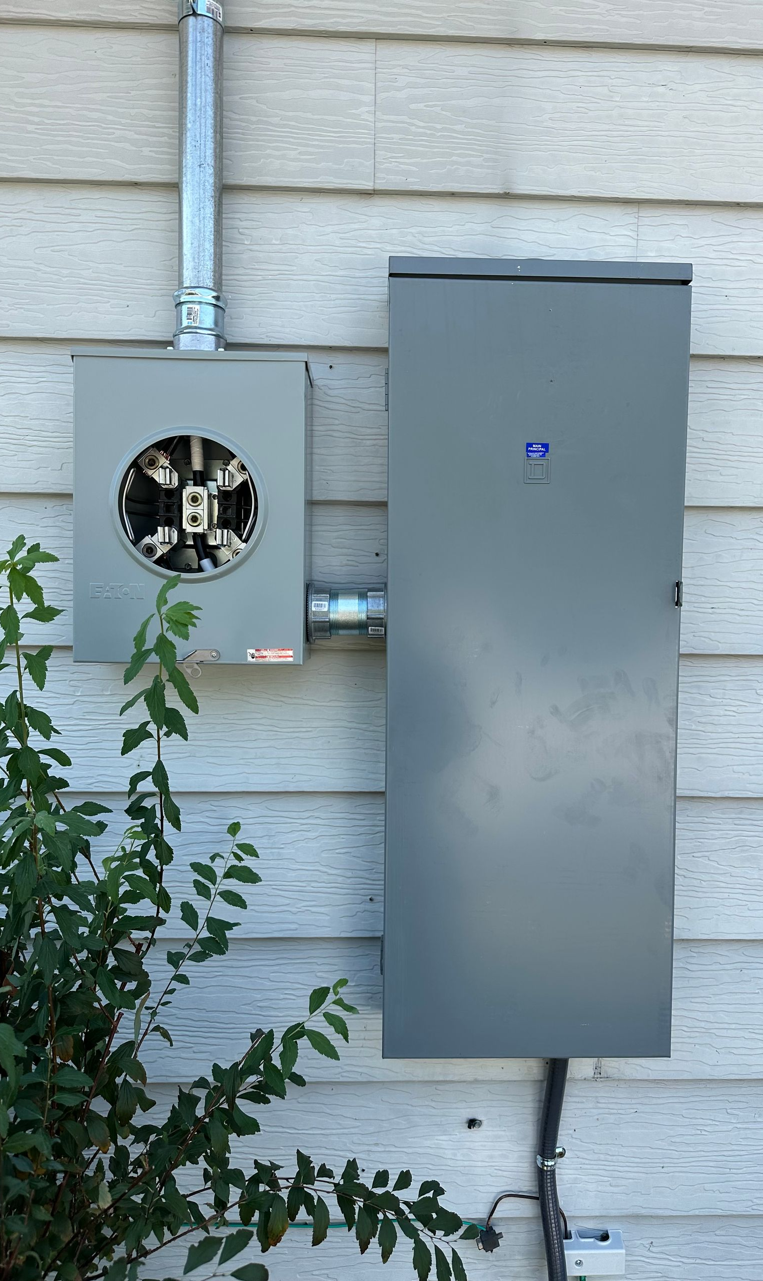 Gray electrical meter and panel on a light-colored building with a plant in front.