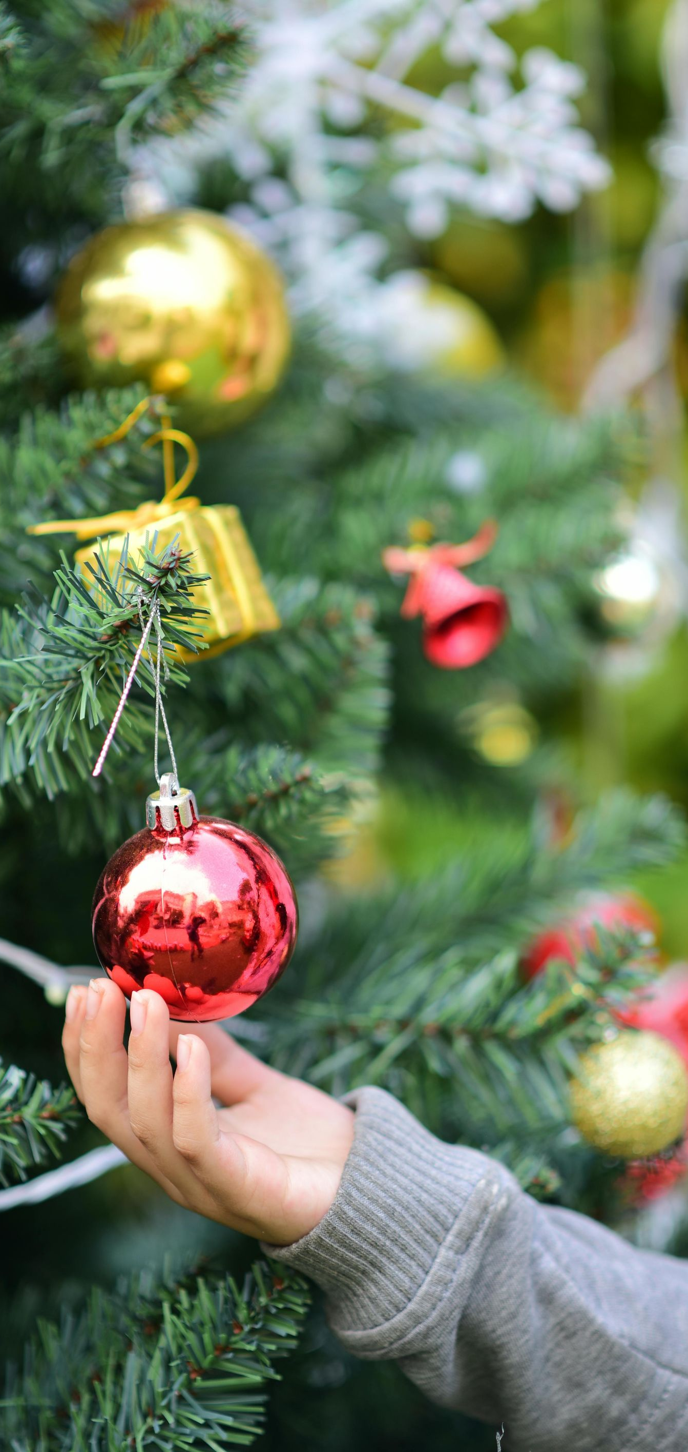 A hand holding a red ornament on a decorated Christmas tree with golden and red decorations.
