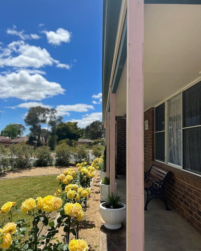 Sunny house porch beside a garden of yellow roses under a blue sky