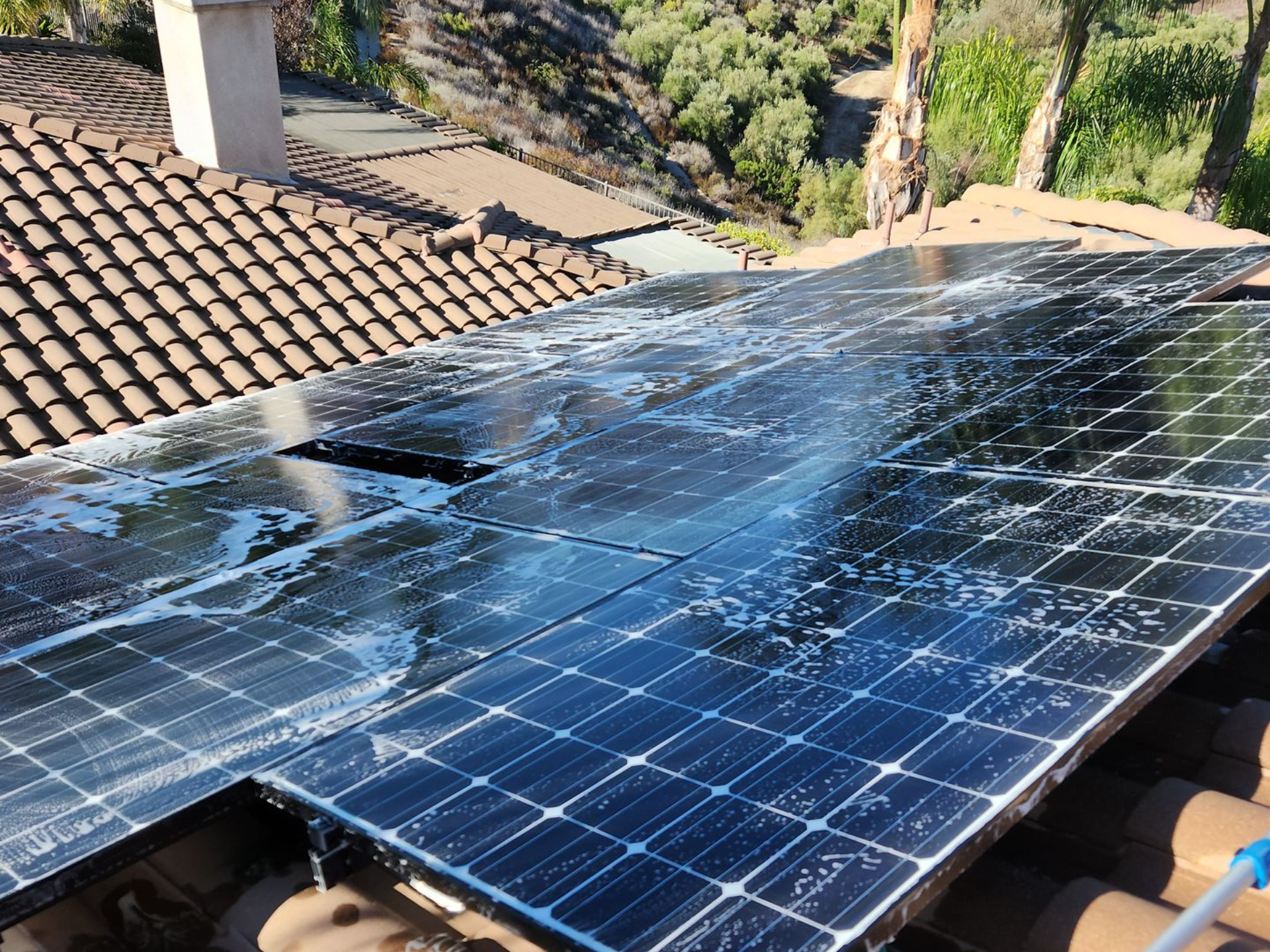 Dan's Pressure Washing -Solar Panel Cleaning
