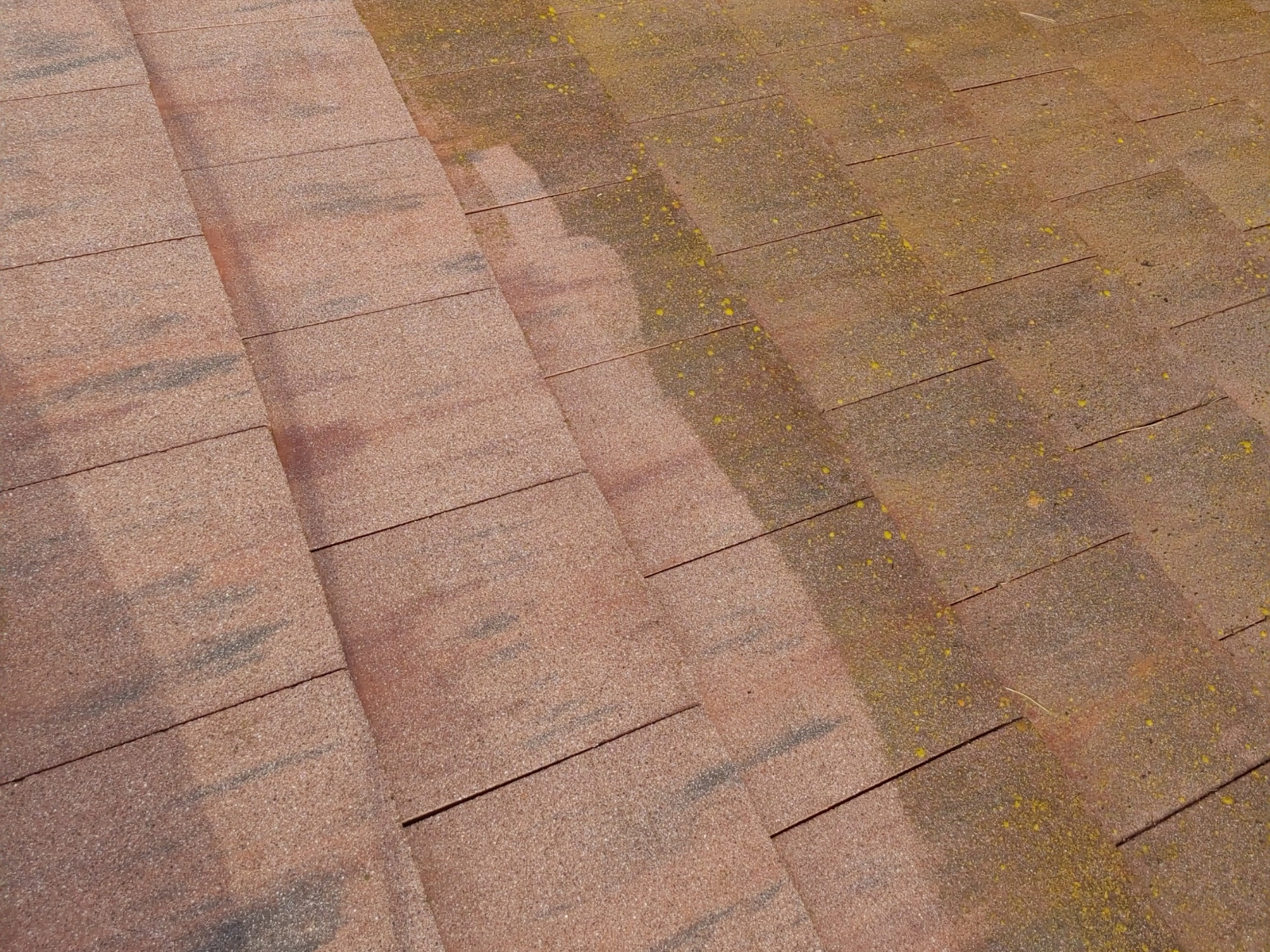 Dan's Pressure Washing - 