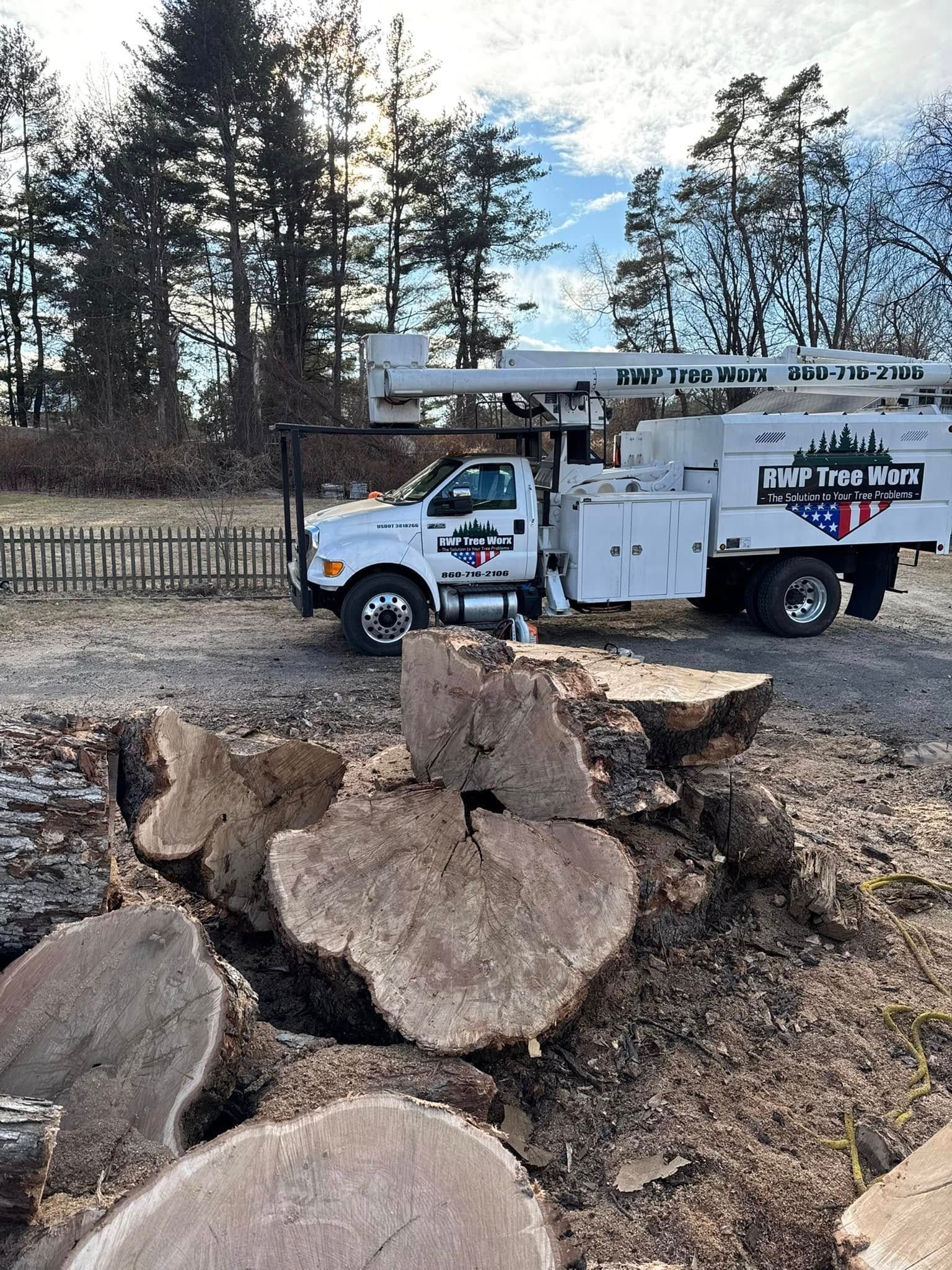 A white tree service truck parked in a clearing near a pile of large, freshly cut tree logs.