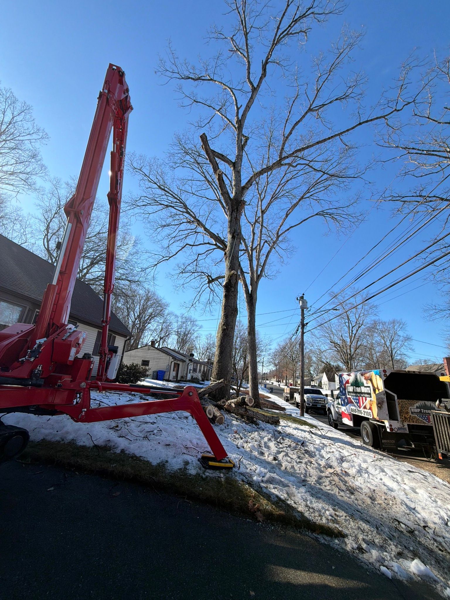 A red crane set up on a snowy hillside to perform maintenance on a tall, leafless tree near a residential street.